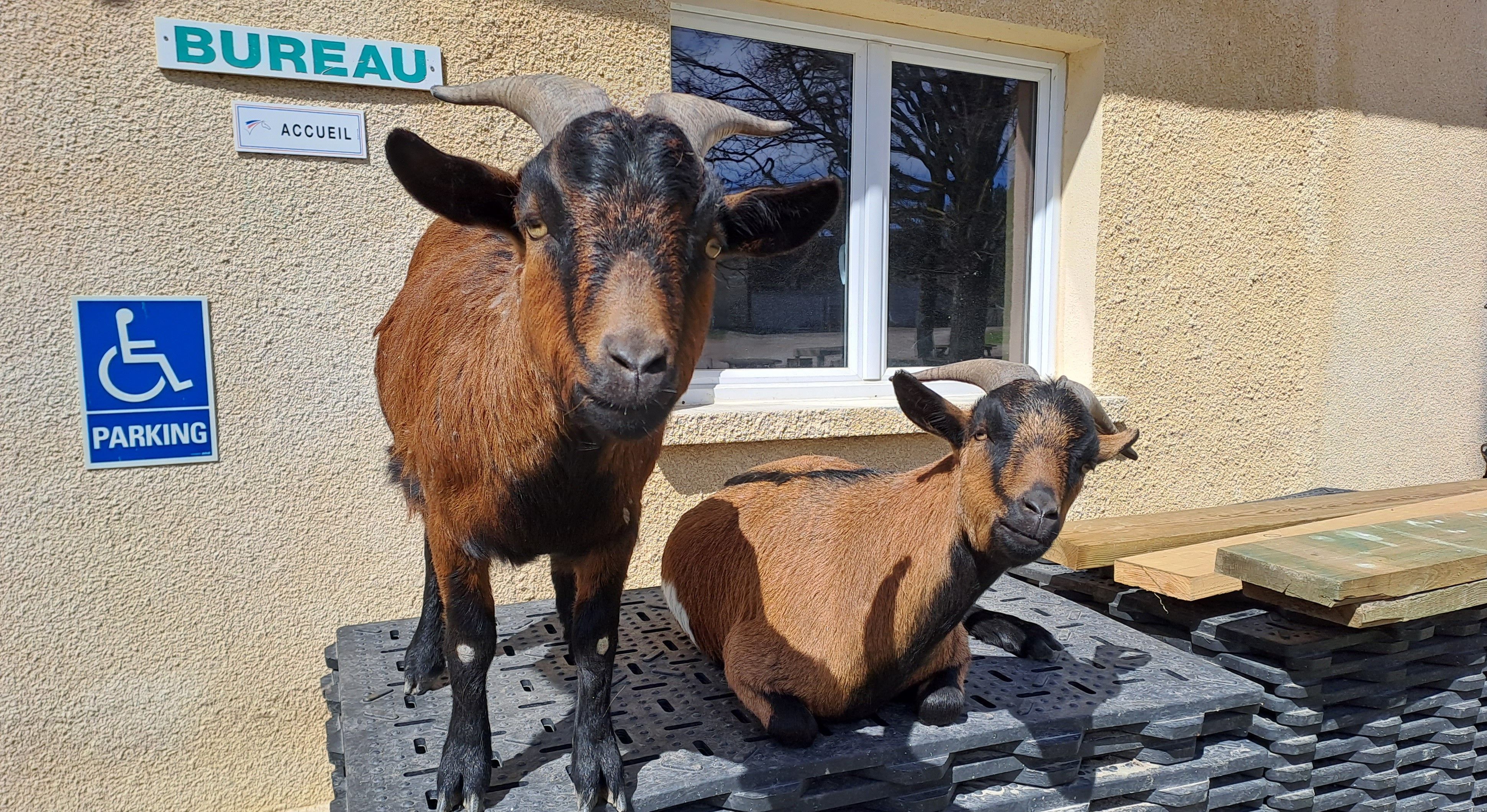 blockValue.f0ebd165-b725-401f-8d56-e378b996f28f.image.1.url_img_alt