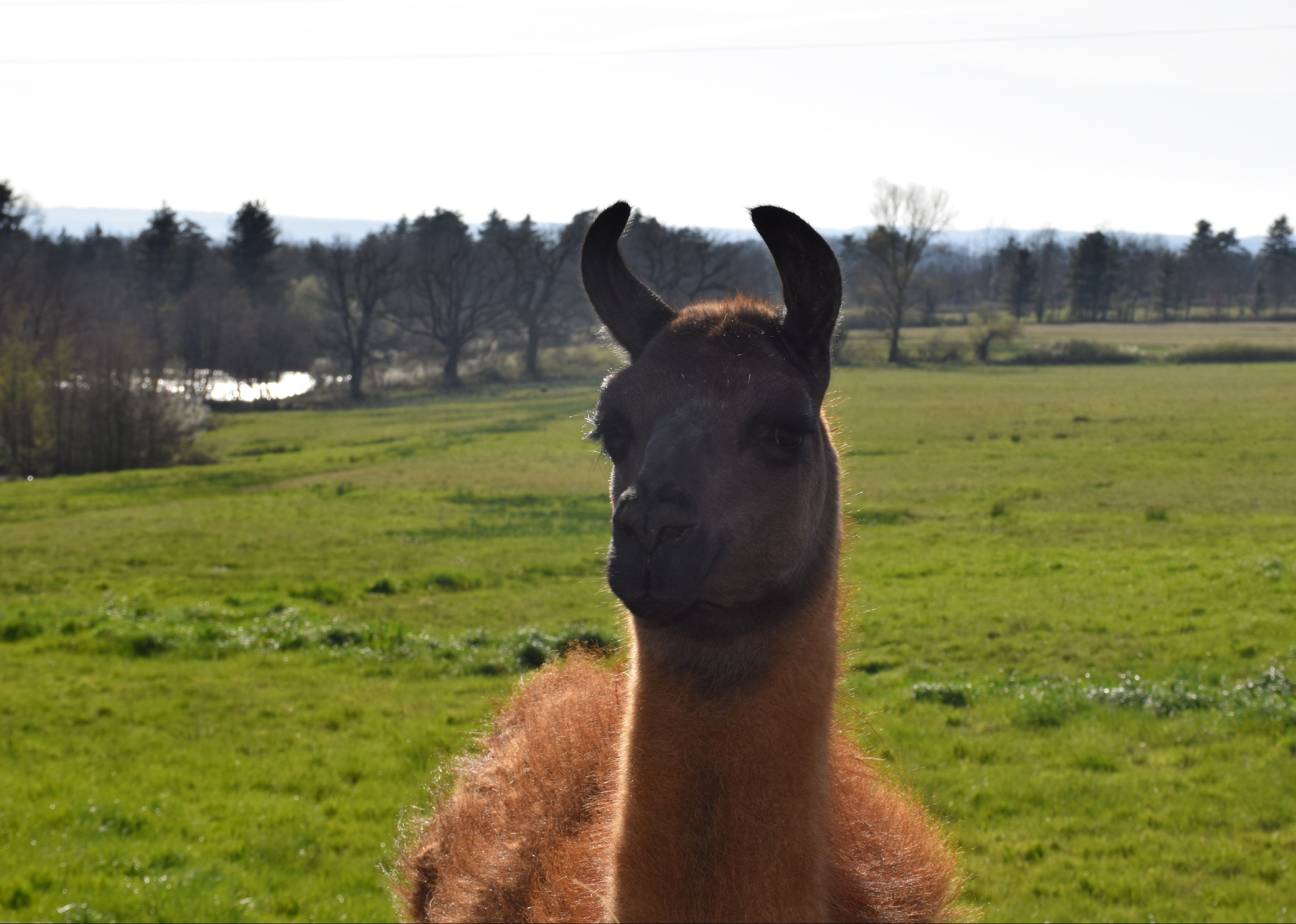 blockValue.f0ebd165-b725-401f-8d56-e378b996f28f.image.2.url_img_alt