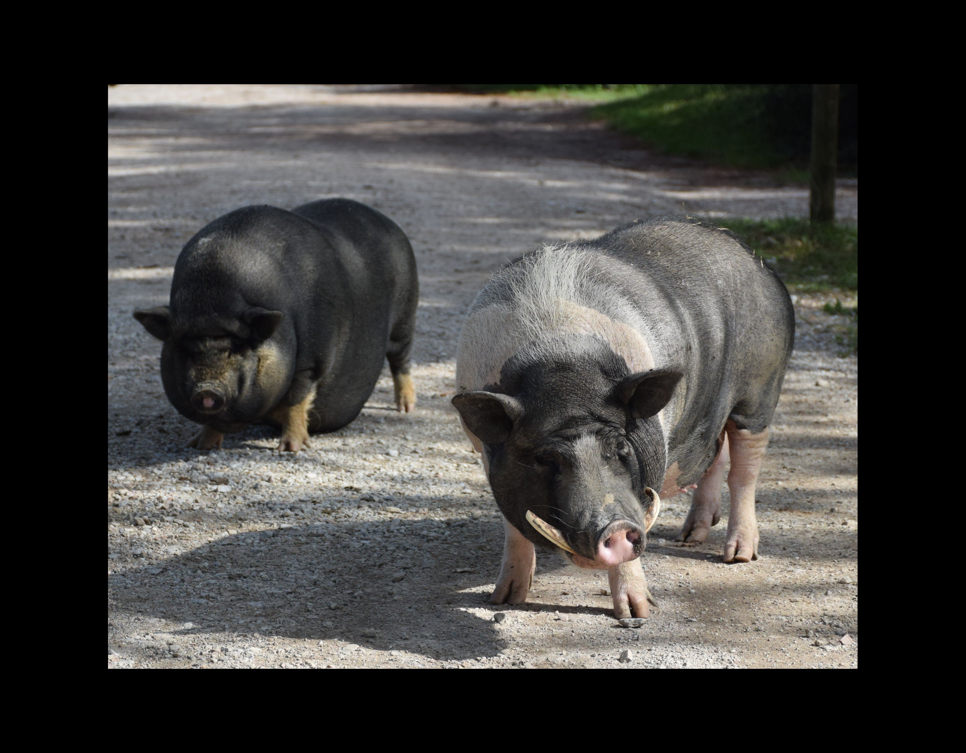 blockValue.f0ebd165-b725-401f-8d56-e378b996f28f.image.3.url_img_alt